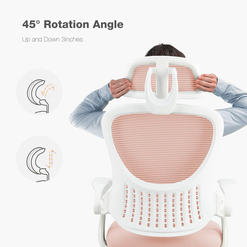 Computer Desk Chair, Ergonomic